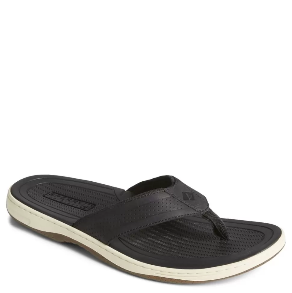 Men SPERRY Flip Flops^ Mens Havasu Flip Flop Sandal